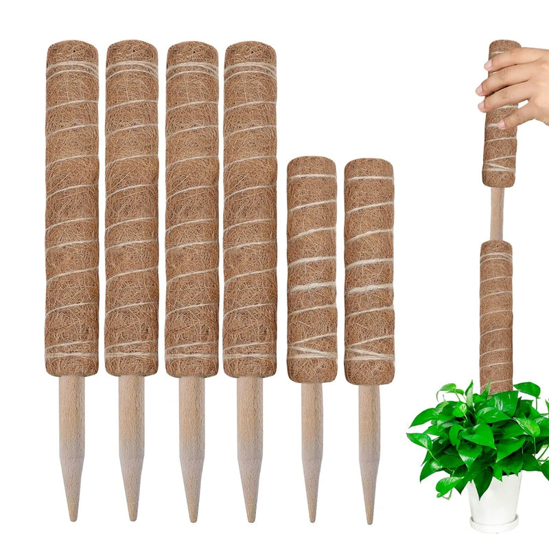 30/40/50cm Moss Pole for Indoor Climbing Plants Creepers to Grow Upwards Plant Support with Garden Ties