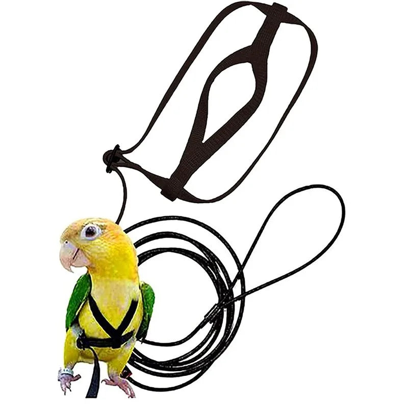 Anti-Bite Parrot Harness Leash Training Rope Bird Flying Leash for Pet Birds Durable Bird Harness Leash for Parrot