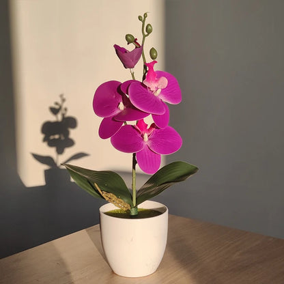 Simulado Orquídea Borboleta, Bonsai, Planta Em Vaso, Mesa, Mesa De Jantar, Escritório Em Casa, Vaso, Casamento, Decoração Do Quarto, Presente