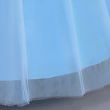 Disney Deluxe Elegant Cinderella Princess Ball Gown Fancy Birthday Cinderella Party Dress Vestidos Costume Play Carnival Apparel