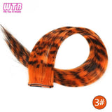 Synthetic One Card Hair Extension Wig Hair For Women Long Straight Clip-in Colored Zebra Line Feather Hair Extensions Fake Hair