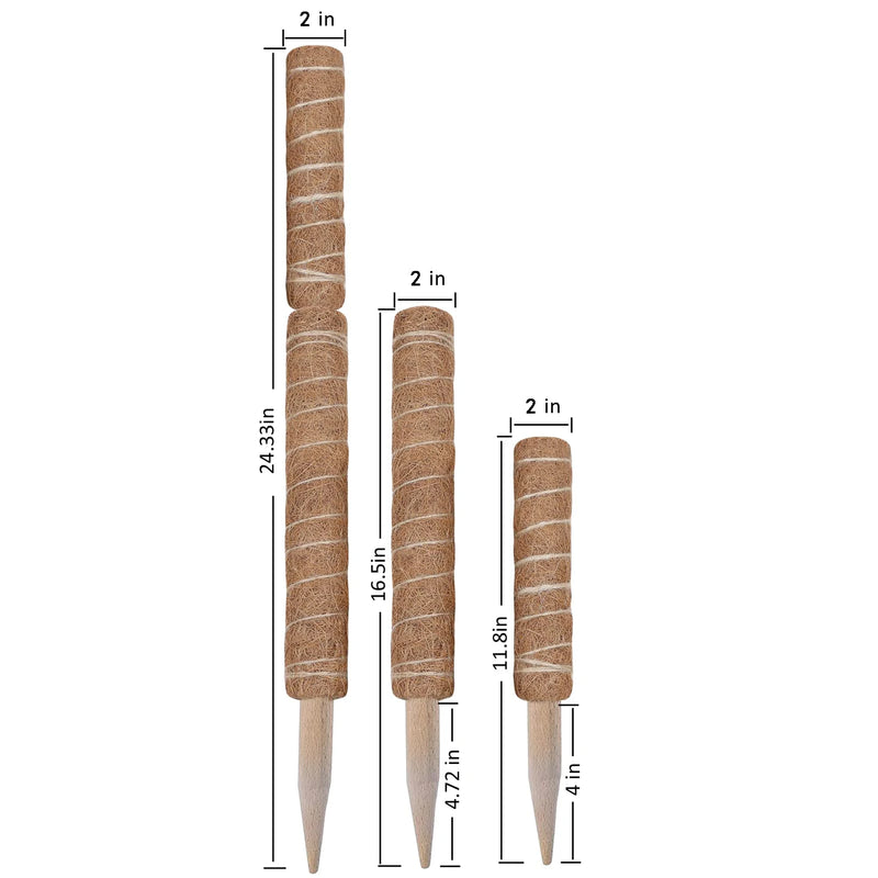 30/40/50cm Moss Pole for Indoor Climbing Plants Creepers to Grow Upwards Plant Support with Garden Ties