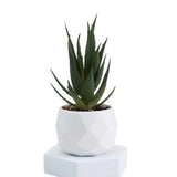 Plantas suculentas artificiales de bonsái, suculentas de simulación, mini bonsái perenne, cactus, suculentas de plástico, plantas falsas para decoración.