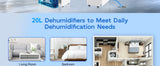 Dehumidifier 20 L, Dehumidifier Cellar Rooms with Digital Display, 24H Timer, Automatic Defrosting, Dry Clothes, Continuous Drai