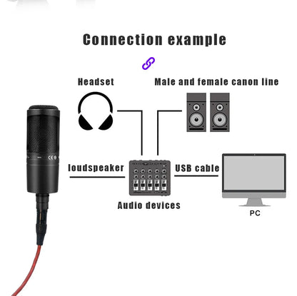 AT2020 Condenser Microphone for Recording Gaming Microfono Condenser Professional Microphone,Cardioid Mic for Singing