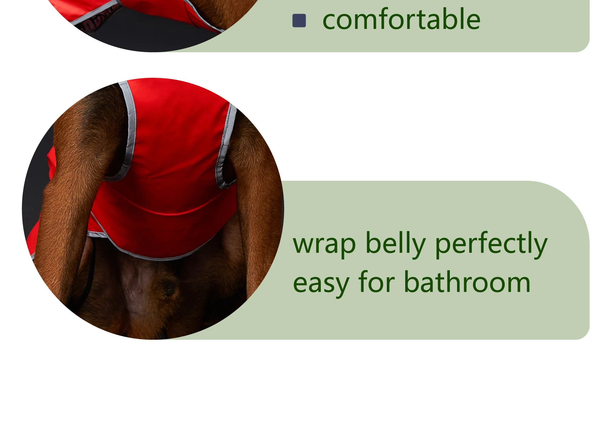 Waterproof Dog Raincoat with Reflective Strips and Adjustable Hood - Red, Yellow, Navy Blue