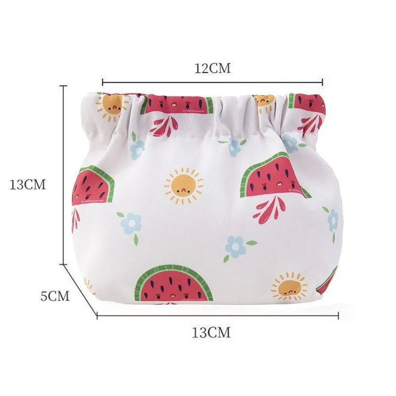 Ins Cosmetics Coin Wire Holder Pouch Bag Portable Earphone Cards Lipsticks Storage Bag Auto Close Organizer Travel Jewelry Bag