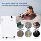 Dehumidifier 20 L, Dehumidifier Cellar Rooms with Digital Display, 24H Timer, Automatic Defrosting, Dry Clothes, Continuous Drai