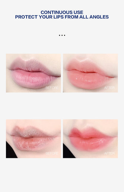 Juego de 4/6/8 bálsamos labiales hidratantes, blanqueadores, con base vegetal natural, hidratantes para labios agrietados, gel hidratante.