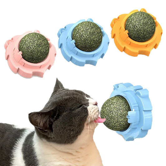 Bolas de hierba gatera natural para lamer, juguete rascador para gatitos, golosinas masticables, aliento fresco para gatos pequeños y medianos.