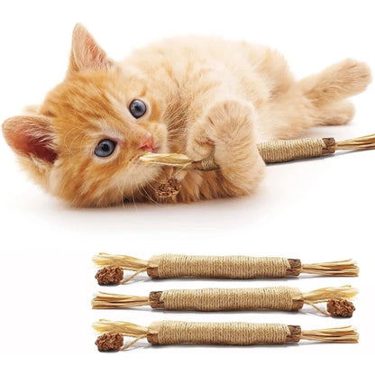 Natural Matatabi Pet Cat Snacks Sticks Cleaning Tooth Catnip Cat Toys Actinidia Silvervine Pet Toy For Cats Accessories