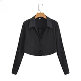 2023 New Summer European and American Style Women's Long-sleeved Silk Shirt Fashion Blouse 1530 
