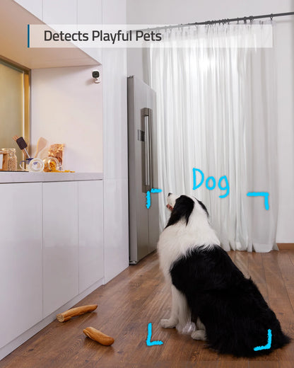 eufy Security Solo IndoorCam C24 IP Camera Wifi 2K 2-Way Audio Camera Wi-Fi Human Pet AI Works Voice Assistants Night Vision Cam
