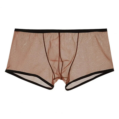 Transparent Boxers for Men See Through Male Underpants Sexy Low Waist Panties Lingerie Intimates