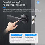 Tuya App Bluetooth Smart Fingerprint Door Lock Password Mechanical Key NFC Unlocking For Wooden Door Handle Lock IP54 Rainproof