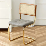 Mid-Century Modern Dining Chairs with Metal Frame, Multiple Styles Leisure chair for Kitchen, Living Room, Office , Muebles