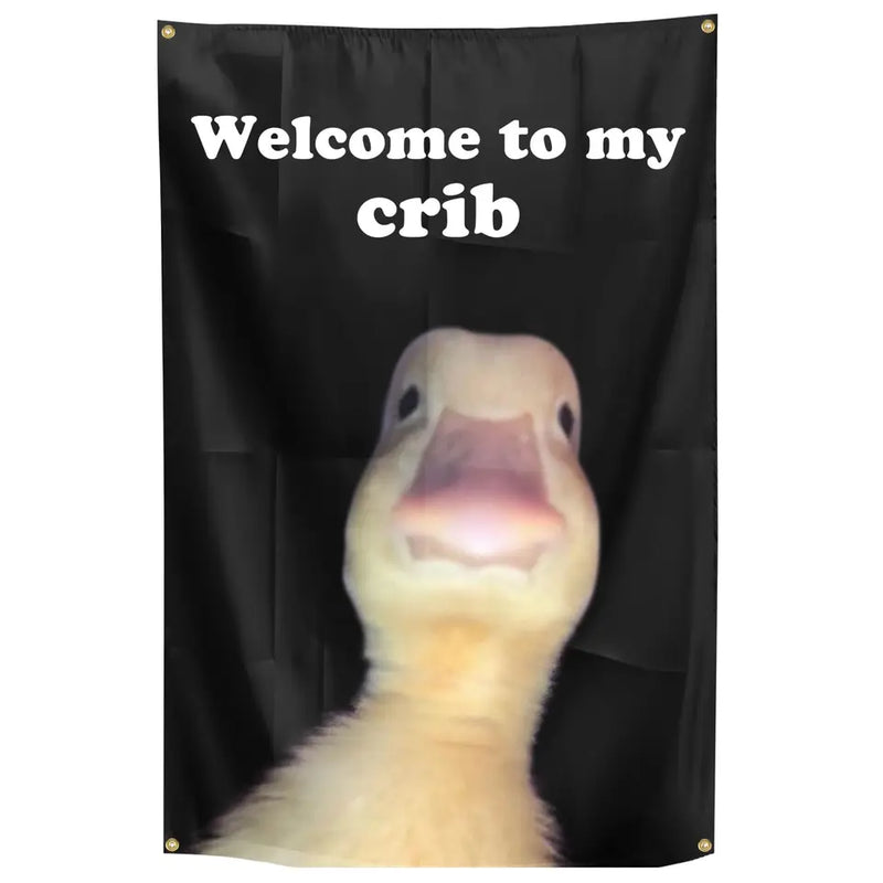 Welcome to My Crib Flag, Funny Flags with 4 Shiny Brass Grommets for Dorm Room Tapestry, Home College Decor, 2x3 Feet 