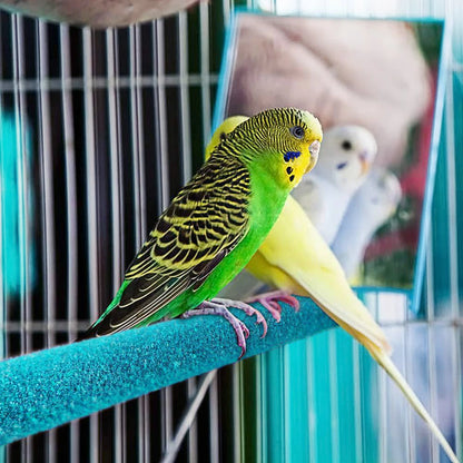 Barra para afilar picos y garras de pájaro, palo de pie, estación para loros, suministros para pájaros, soporte para afilar garras de loro, accesorios para jaulas