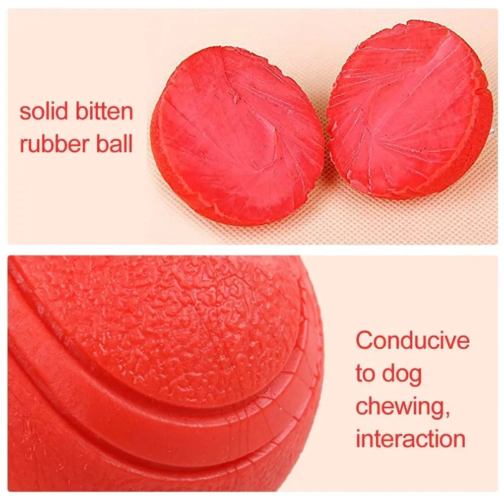 MADDEN S-XL Sizes Solid Rubber Balls Bouncy Ball Bite Resistant Indestructible Dog Training Interactive Ball Pet Toy Molar Ball