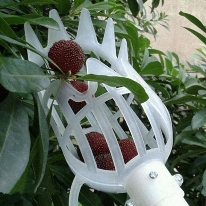 Garden Hand Tools Fruit Picker Multi-color Plastic Fruit Picking Tool Catcher Agrarische Bayberry Jujube Picking Levert