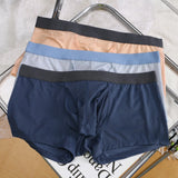 Ropa interior CLEVER-MENMODE, Boxers sexis para hombre, calzoncillos con nariz de elefante, bragas masculinas de seda helada, Boxershorts con bolsa larga para pene convexo en U