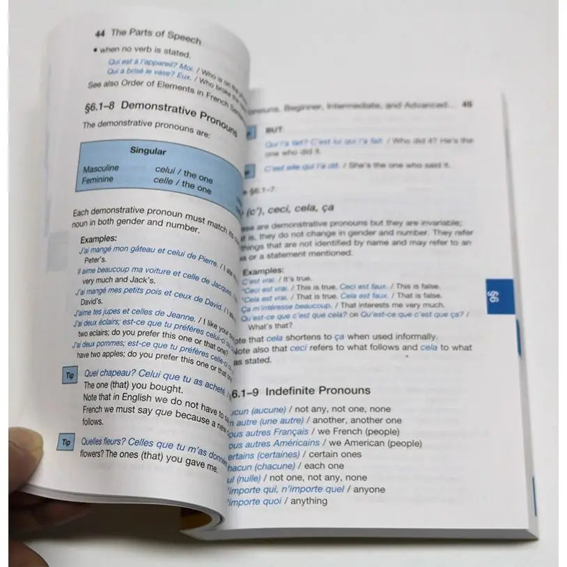 French grammar original language study book English version reference book