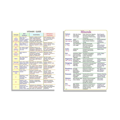 Guide, information on important minerals for health and well-being, healthy vitamins guide decorative canvas typographic poster