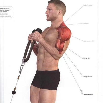 Cuerda para bajar tríceps, manijas de tracción facial, cuerda de empuje hacia abajo para bíceps, espalda, hombros, tríceps, cuerda de tensión para fitness, accesorio de gimnasio