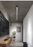 Modern Long Strip Ceiling Light Surface Mounted Minimalist Aisle Lamp Living Room Bedroom Kitchen Home Office LED Lighting