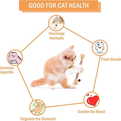 Natural Matatabi Pet Cat Snacks Sticks Cleaning Tooth Catnip Cat Toys Actinidia Silvervine Pet Toy For Cats Accessories