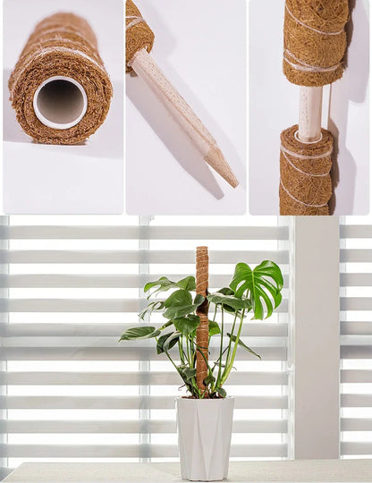 Palos de palma de coco para trepar plantas con palos Palos de palma de coco extensibles y deformables para accesorios de plantas de jardinería