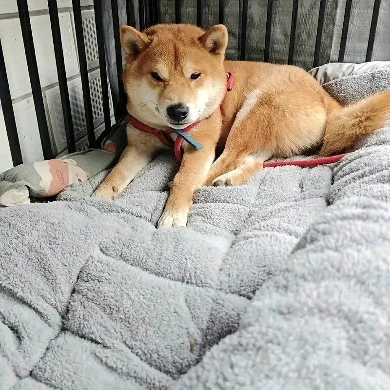 Oversized Plush Dog Cat Bed Sofa Crate Pad Ultra Soft Polyester Pet Mat for All Size Cats Dogs Adorable Rectangle Couch