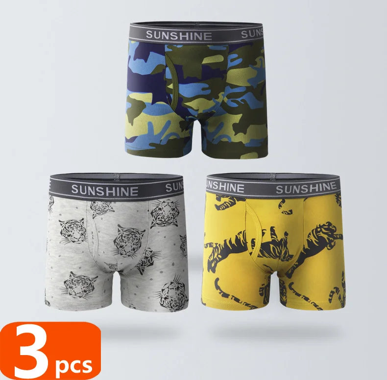 1/3/6 Pcs Boys Boxer Briefs Sets 2025 New Kids Cotton Underwear Boy Underpants Teenager Dinosaur Print Soft Children Panties