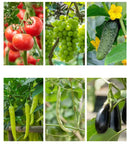 New Tying Machine Plant Garden Plant Tapetool Tapener +5 Rolls Tape Set for Vegetable Grape Tomato Cucumber Pepper Flower