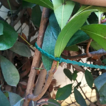 Reusable Garden Cable Ties Plant Vine Tree Shrubs Support Fastener Locking Nylon Adjustable Zipper Cables Ties Organizer Tools