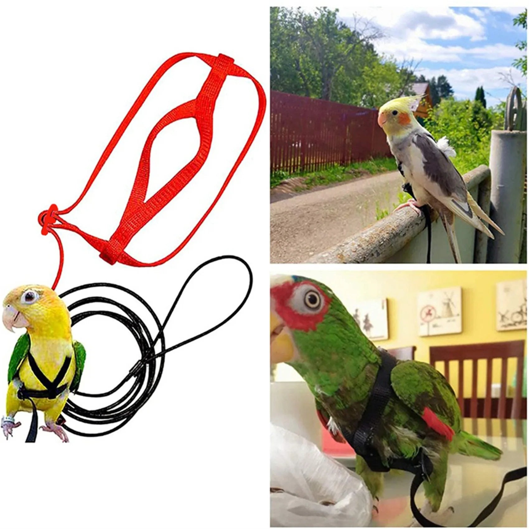 Anti-Bite Parrot Harness Leash Training Rope Bird Flying Leash for Pet Birds Durable Bird Harness Leash for Parrot