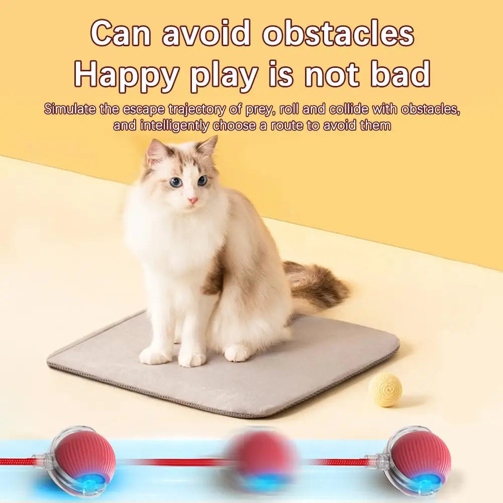 Interactive Rolling Balls for Cats, Super Drive, Bird Chewing, Movimento Ativado, Sensor, Pet, Gatinho, Teaser Game, Toy