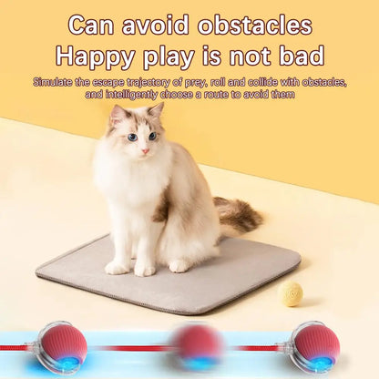Interactive Rolling Balls for Cats, Super Drive, Bird Chewing, Movimento Ativado, Sensor, Pet, Gatinho, Teaser Game, Toy
