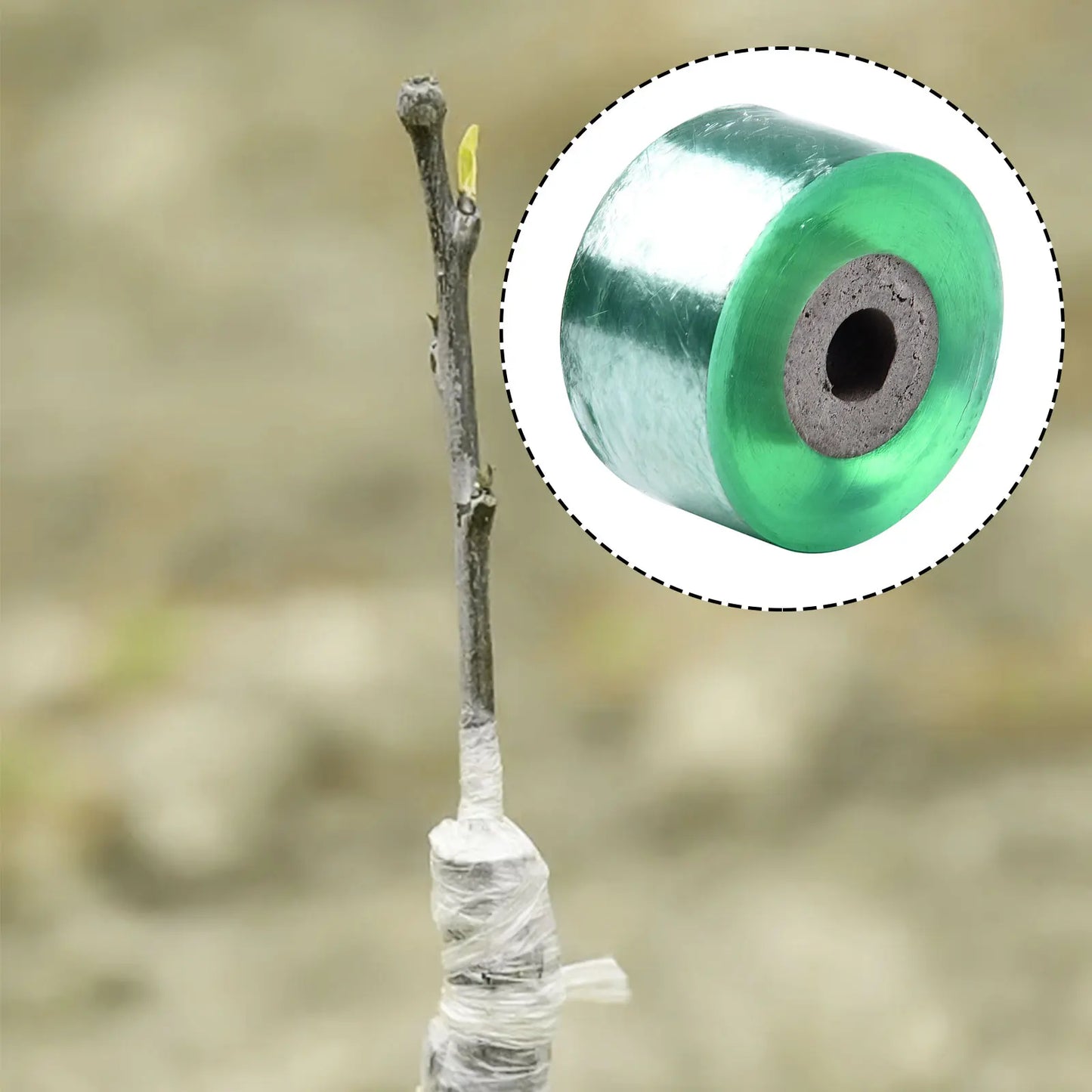 Eco-Friendly Biodegradable Grafting Tape Graft Membrane Gardening Bind Belt Plant Grafting Specific Film Self Mucosa