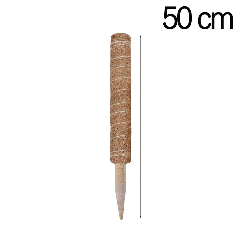 30/40/50cm Moss Pole for Indoor Climbing Plants Creepers to Grow Upwards Plant Support with Garden Ties
