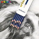 Professional Drawing Sketching Pencil Set, 12pcs Graphite Pencils, 6H-12B, Ideal for Drawing Art, Sketching, Shading, Artist Pen