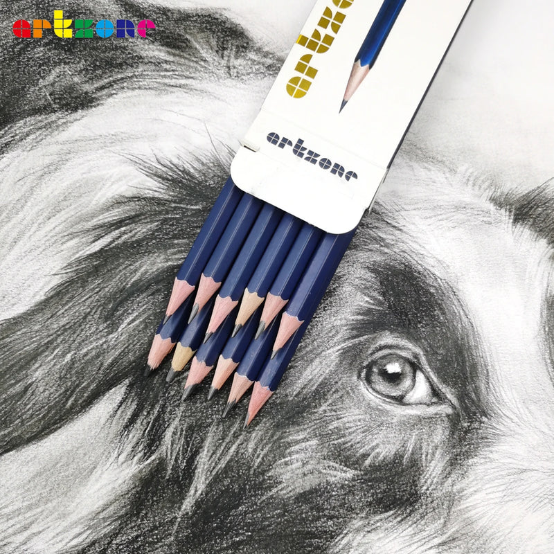 Professional Drawing Sketching Pencil Set, 12pcs Graphite Pencils, 6H-12B, Ideal for Drawing Art, Sketching, Shading, Artist Pen