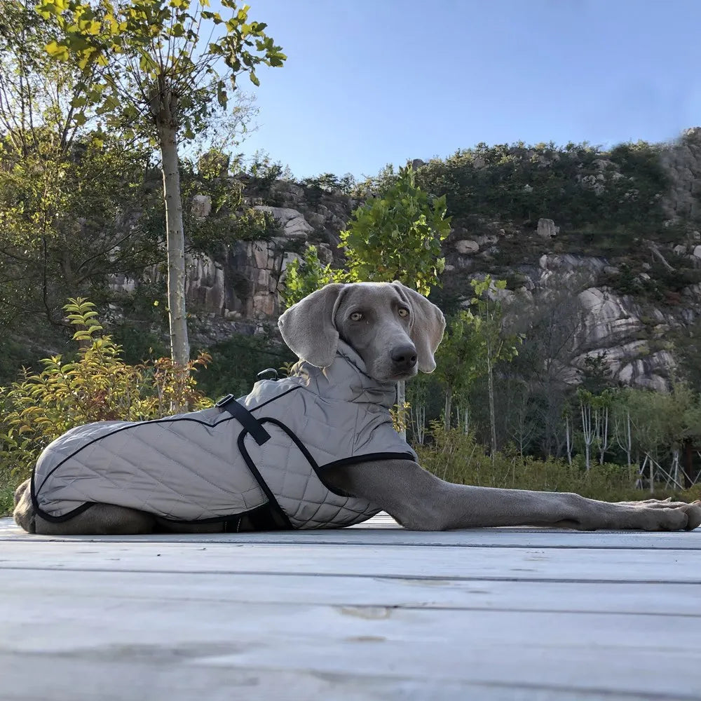Reflective Pet Dog Outdoor Jacket Pet Coat Vest Winter Warm Reflective Cotton Dogs Clothing for Large Middle Dogs  Labrador