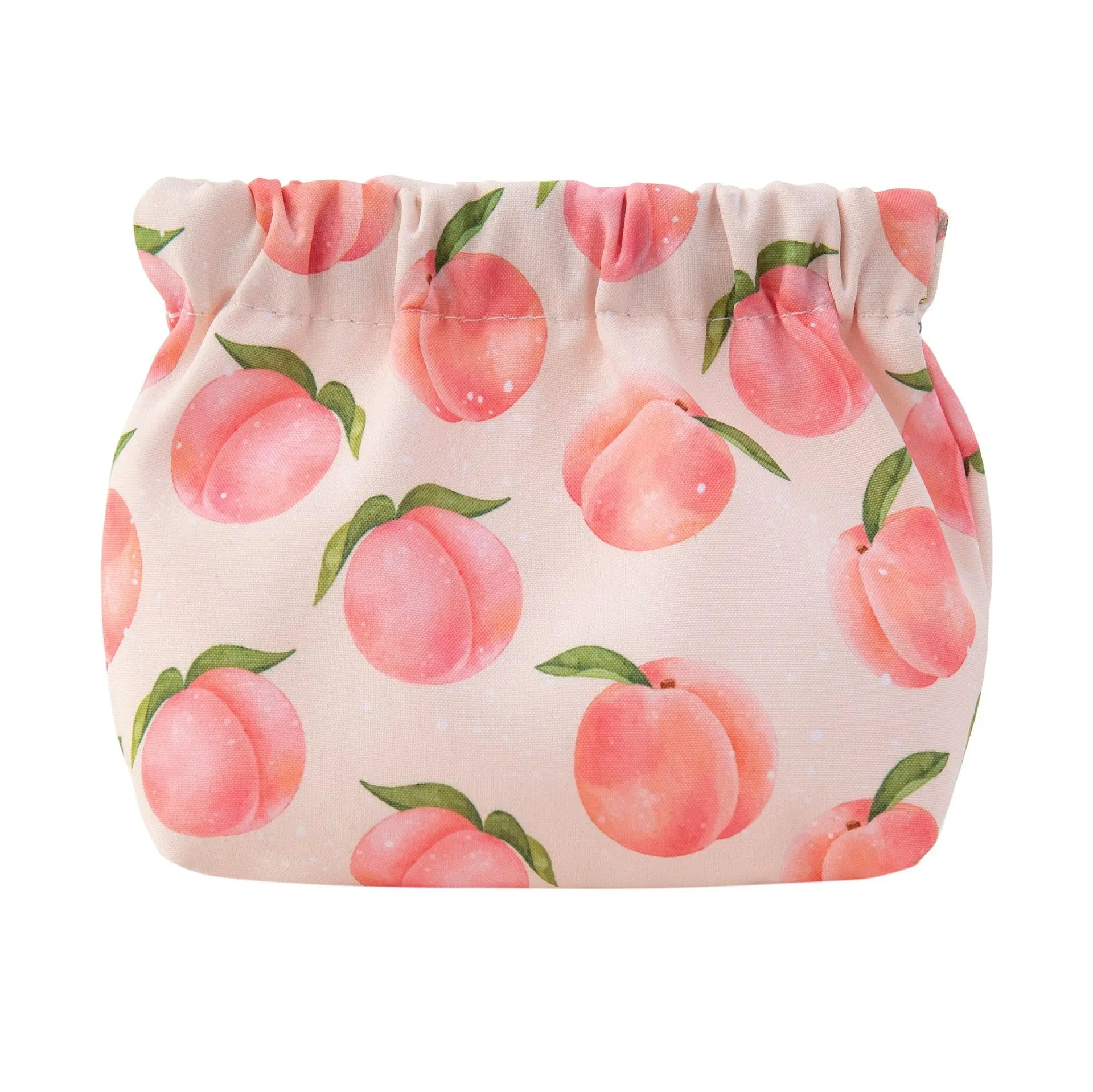 Ins Cosmetics Coin Wire Holder Pouch Bag Portable Earphone Cards Lipsticks Storage Bag Auto Close Organizer Travel Jewelry Bag
