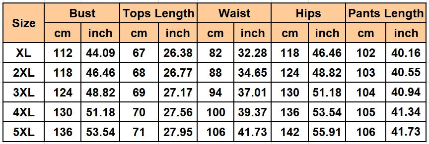 2 Piece Women Sets 2024 New Arrival Plus Size Summer Matching Sets Print Two Pieces Sets Top Pants Suits Outfits Clothing