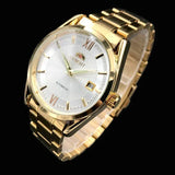 Orient Double Lion Classic Watch Series Gold - Tone Stainless Steel Automatic Mechanical Wristwatch Brand New Top Men's Watch