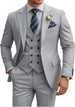 Silver Gray