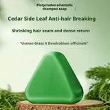 Shampoo Bar Platycladus Orientalis Natural Herbal Soap For Hair Loss Controls Oil Strengthens Root Shampoo Soap Hair Accessories
