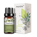 Patchouli