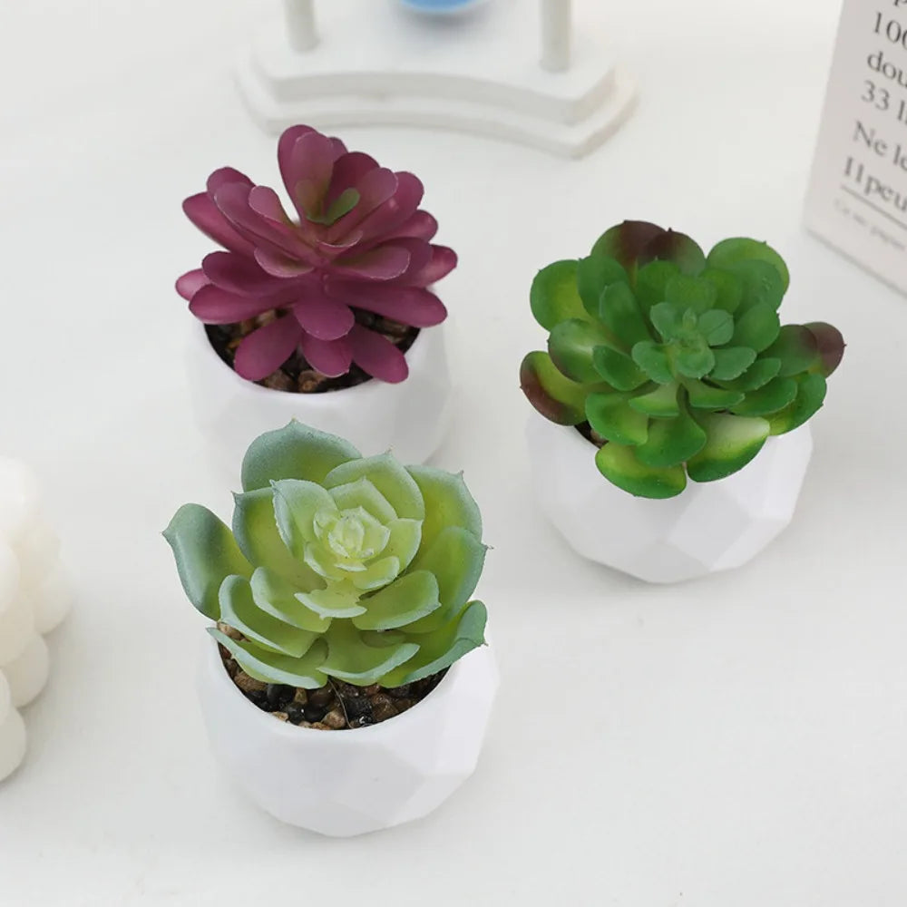 Artificial Succulent Bonsai Plants Simulation Succulents Mini Evergreen Bonsai Cactus Succulent Plastic Fake Plants Decor